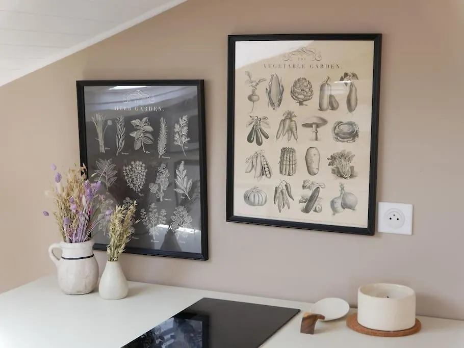 Lovely Studio - Port De Nice Daire